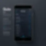Graphical representation of subscription-based pricing models for burner phone apps