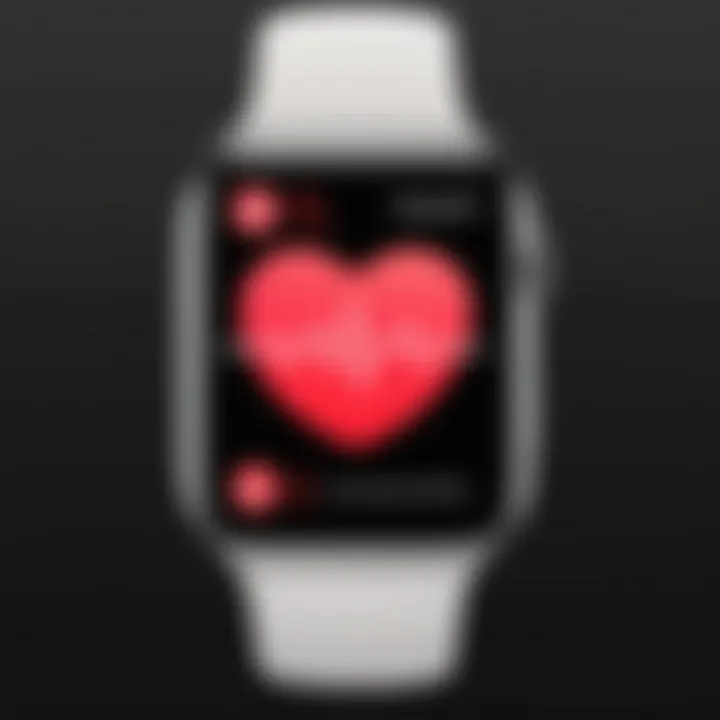 Illustration of heart rate sensors on Apple Watch