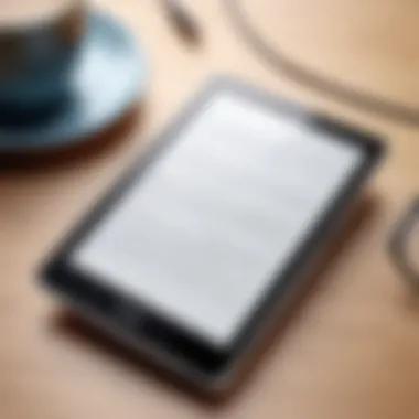 Exceptional Display Quality High-resolution display showcasing an ebook reader's text clarity