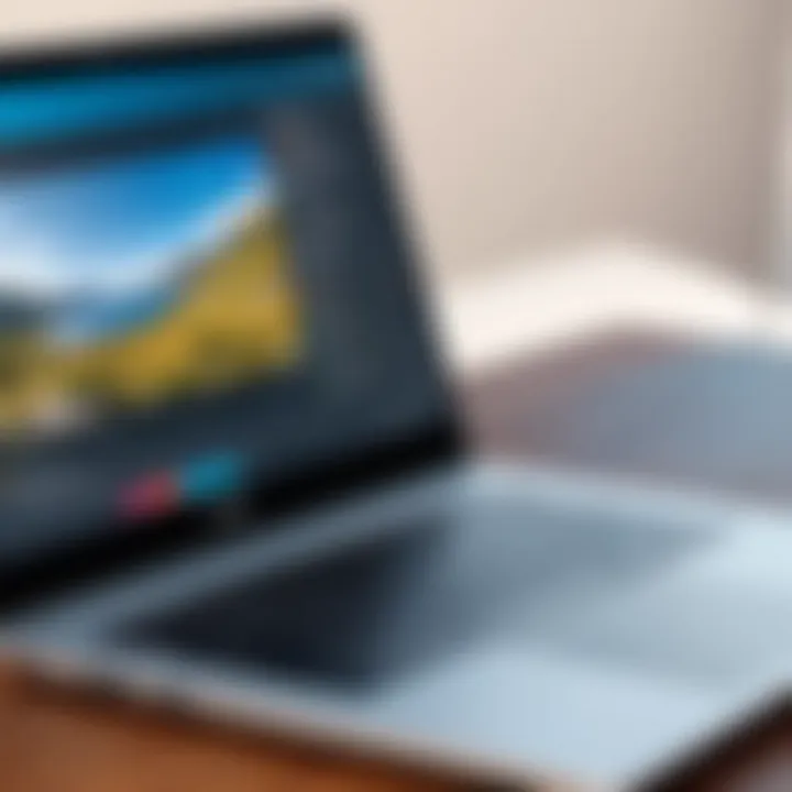User-friendly navigation of a webcam site displayed on a laptop