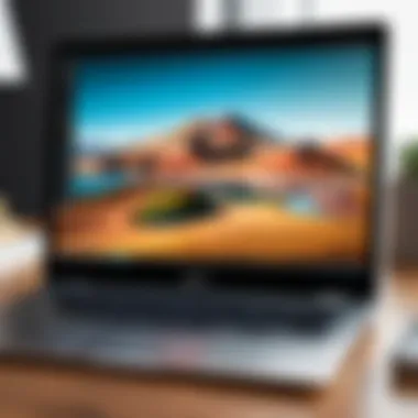 Sleek Photo Editing Interface A sleek interface of a popular photo editing software on a Chromebook