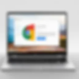 Chromebook screen displaying password prompt