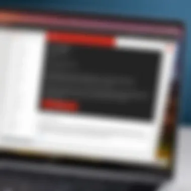 User Accessing Netflix on Chromebook User accessing Netflix on Chromebook