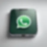 WhatsApp logo on an iPhone screen
