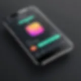 Innovative interface of a voice changer application on iPhone