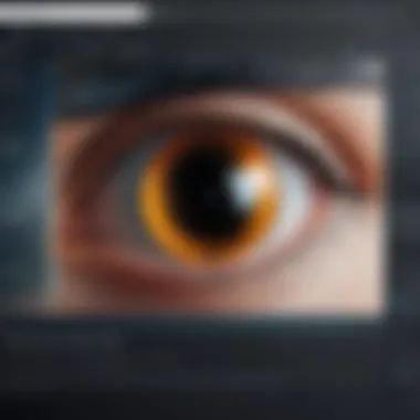 Navigating Privacy Settings in Desktop Camera Software Privacy settings within camera software