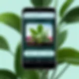 A close-up of a smartphone displaying a plant identification app