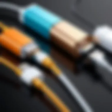 Diverse Designs of iPhone Charger Cables Variety of iPhone charger cables showcasing unique designs and colors