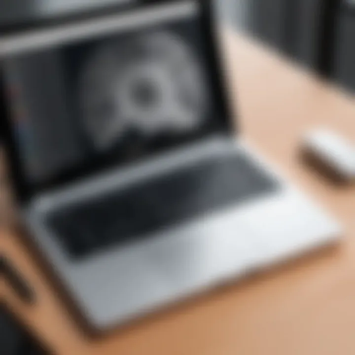 Diverse drawing styles displayed on a Chromebook interface