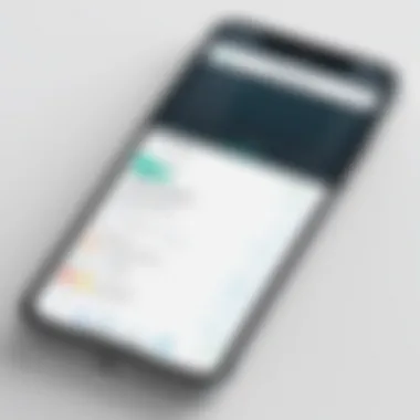 Close-up of a mobile device displaying an expense tracking feature