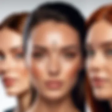 Features Spotlight of Face Editing Applications Showcasing features of popular face editing apps