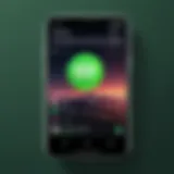 Spotify widget interface on Android home screen