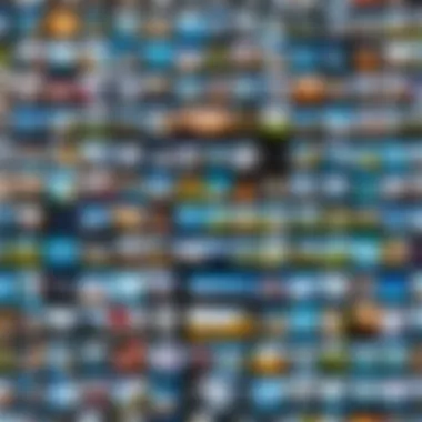 Collage of Photos in Video Editing Creative collage of photos in a video editing software interface