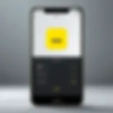 Illustration of Snapchat password reset options