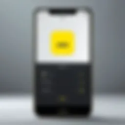 Illustration of Snapchat password reset options