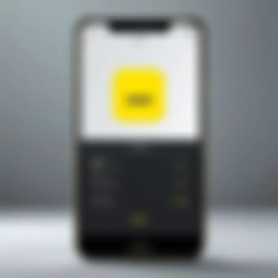 Illustration of Snapchat password reset options