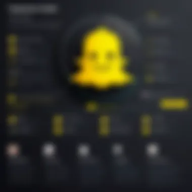 Troubleshooting Reset Issues Infographic with troubleshooting tips for Snapchat