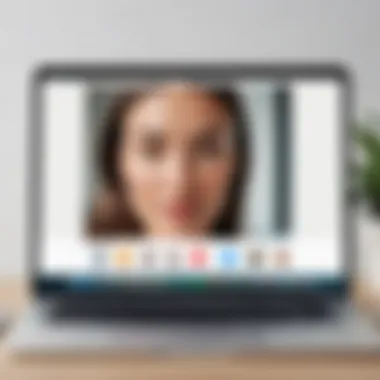 FaceTime Screen Sharing Interface Interface showcasing FaceTime screen sharing feature