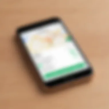 Using Find My iPhone Feature Screenshot of Find My iPhone interface with options