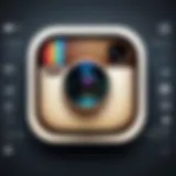 Detailed view of Instagram privacy settings