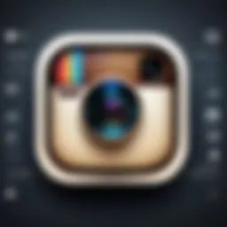 Detailed view of Instagram privacy settings