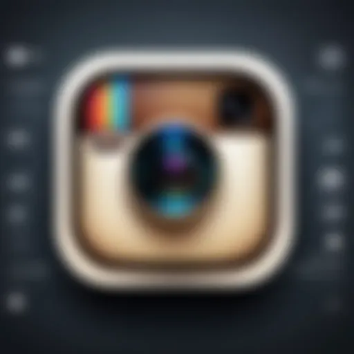 Detailed view of Instagram privacy settings