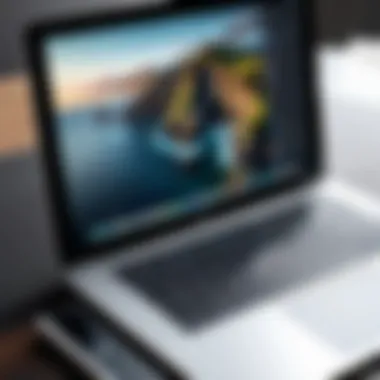 Interface of iPad Emulator on MacBook Visual representation of an iPad emulator interface on MacBook