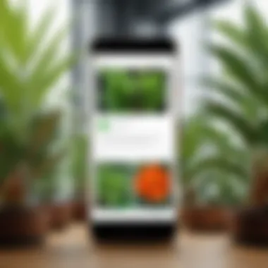 Comparing Plant Species with Google Lens A detailed comparison of plant species with Google Lens results on screen