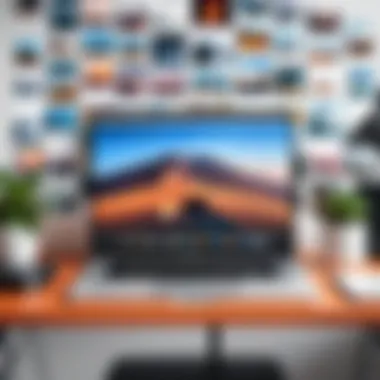 Organizing Your Digital Gallery Effectively An organized digital gallery showcasing media management