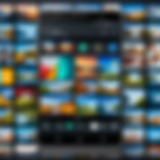A digital representation of an Android device displaying a photo gallery interface.