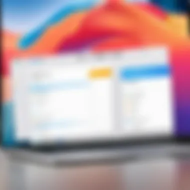 File Identification and Cleanup Identifying unnecessary files on MacBook Air