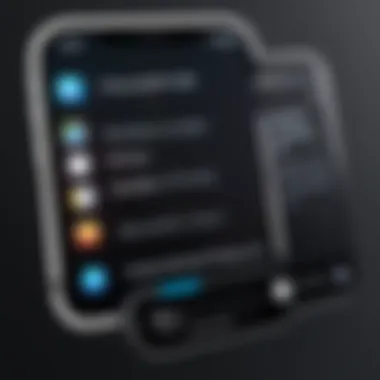 iPhone Emulator Software Settings A close-up view of software settings related to iPhone emulators.