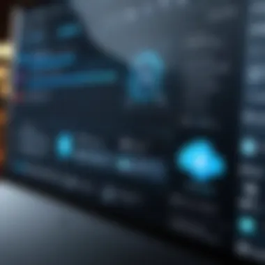 User Interface of Remote Access Apps User interface of a remote access application