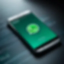 A vibrant online chat interface showcasing WhatsApp features
