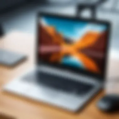 Exploring Photo Editing Features User exploring photo editing features on a Chromebook