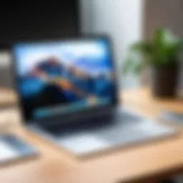 A MacBook showcasing digital drawing software in use